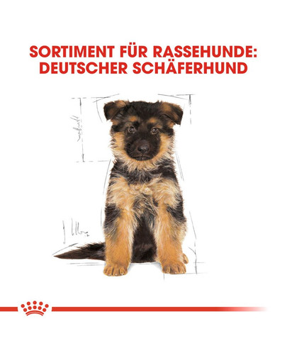 ROYAL CANIN German Shepherd Puppy Welpenfutter trocken für Deutsche Schäferhunde 1 kg