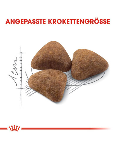 ROYAL CANIN INDOOR 27 Trockenfutter für Wohnungskatzen 2 kg