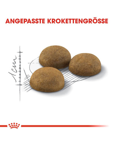 ROYAL CANIN INDOOR Longhair Trockenfutter für Wohnungskatzen mit langem Fell 10 kg