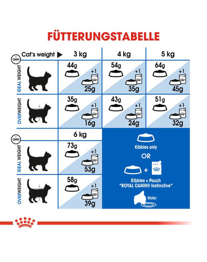 ROYAL CANIN INDOOR Longhair Trockenfutter für Wohnungskatzen mit langem Fell 10 kg