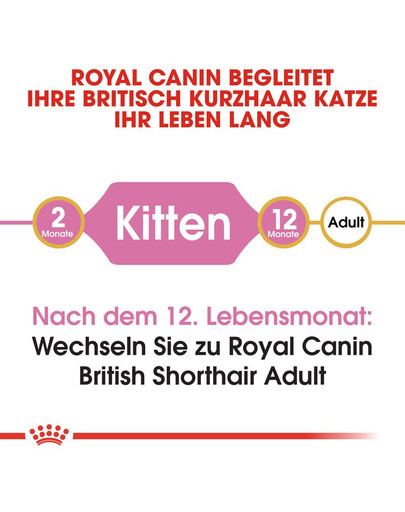 ROYAL CANIN British Shorthair Kittenfutter trocken für BKH Kätzchen 10 kg