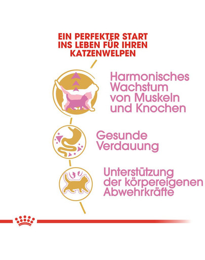 ROYAL CANIN British Shorthair Kittenfutter trocken für BKH Kätzchen 10 kg