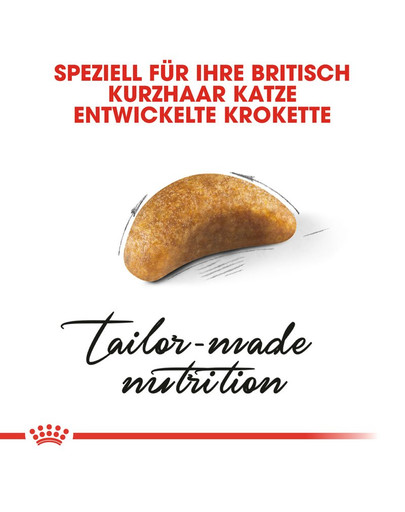 ROYAL CANIN British Shorthair Kittenfutter trocken für BKH Kätzchen 10 kg