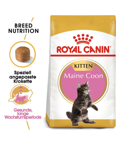 ROYAL CANIN Maine Coon Kittenfutter trocken für Kätzchen 400 g