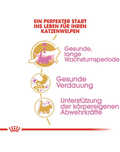 ROYAL CANIN Maine Coon Kittenfutter trocken für Kätzchen 4 kg