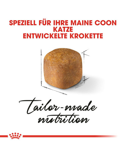 ROYAL CANIN Maine Coon Kittenfutter trocken für Kätzchen 4 kg