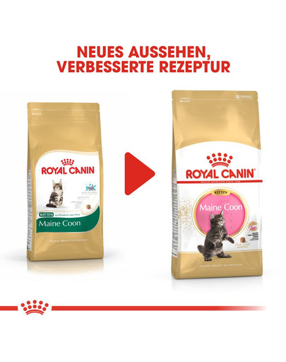 ROYAL CANIN Maine Coon Kittenfutter trocken für Kätzchen 4 kg