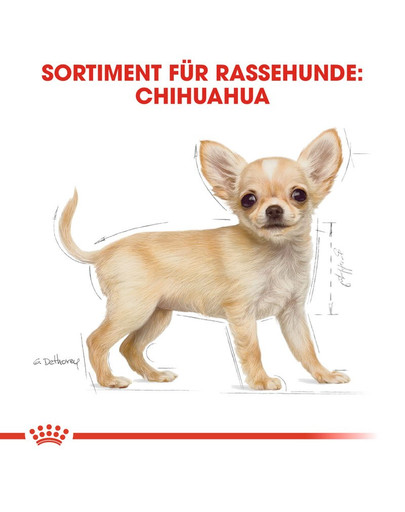 ROYAL CANIN Chihuahua Puppy Welpenfutter trocken 1,5 kg