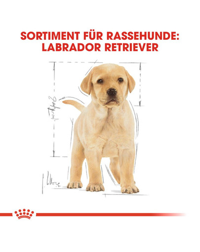 ROYAL CANIN Labrador Retriever Puppy Welpenfutter trocken 3 kg
