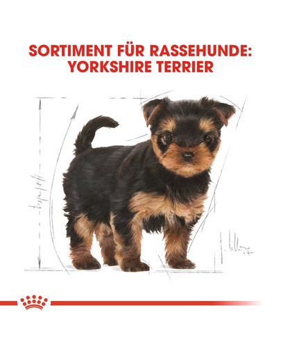 ROYAL CANIN Yorkshire Terrier Puppy Welpenfutter trocken 7.5 kg