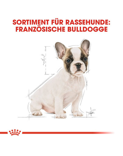 ROYAL CANIN French Bulldog Puppy Welpenfutter trocken für Französische Bulldoggen 10 kg