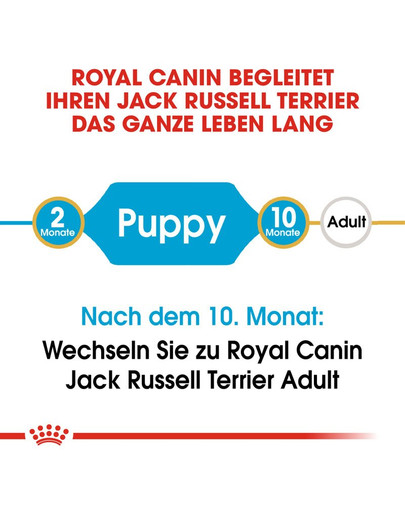 ROYAL CANIN Jack Russell Terrier Puppy Welpenfutter trocken 1,5 kg