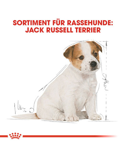 ROYAL CANIN Jack Russell Terrier Puppy Welpenfutter trocken 1,5 kg