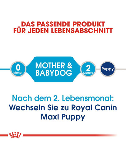 ROYAL CANIN MAXI Starter für tragende Hündin und Welpen 15 kg