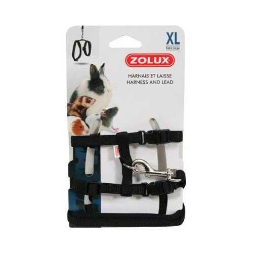 Geschirre und Leinen