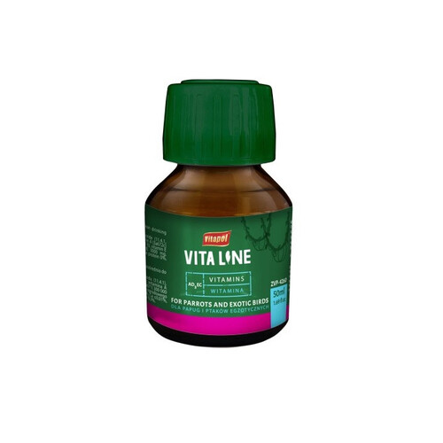 Gesundheit und Pflege