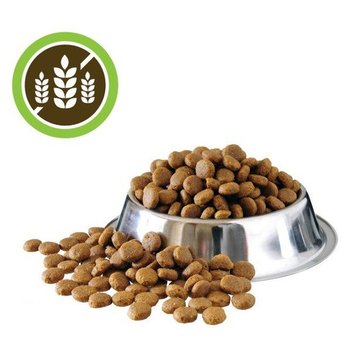 Hundefutter getreidefrei