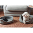 FERA Hundebett oval grau S 53x44x16 cm