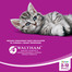WHISKAS Junior Chicken ( Huhn )14kg