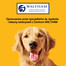 PEDIGREE Markies Original 12,5 kg