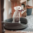FERA Hundebett 47x38x15 cm oval mit Kissen grau