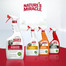 NATURE'S MIRACLE Stain&Odour Remover Dog Melone 946 ml