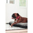 FERA Sky Pontoon Hundebett dunkelgrau M 82 x 57 cm