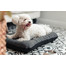 FERA Sky Pontoon Hundebett dunkelgrau M 82 x 57 cm