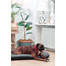 FERA Sky Pontoon Hundebett dunkelgrau S 70 x 46 cm