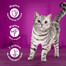 WHISKAS Classic Meals Nassvollnahrung für ausgewachsene Katzen in Sauce 40x85 g