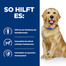 HILL'S Prescription Diet J/D Joint Care 4 kg
