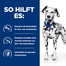 HILL'S Prescription Diet Canine U/D Urinary Care 10 kg