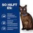 HILL'S Prescription Diet M/D Diabetes Feline With Chicken 3 kg