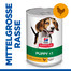 HILL'S Science Plan Canine Puppy Chicken 370 g für Welpen