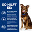 HILL'S Prescription Diet Canine Metabolic 4 kg