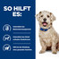 HILL'S Prescription Diet w/d Canine 4 kg