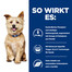 HILL'S Prescription Diet k/d Canine 12 kg