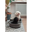 FERA ovales Hundebett mit Kissen 53x44x16 cm grau