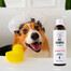 PETS Shampoo Argan oil Shampoo für langes Haar 250 ml