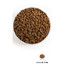 ACANA Adult Small Breed 2 kg