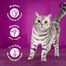 WHISKAS Junior 28x85g Nassfutter für Kätzchen mit Huhn in Gelee