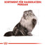 ROYAL CANIN Persian Adult Trockenfutter für Perser-Katzen 2 kg