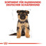 ROYAL CANIN German Shepherd Puppy Welpenfutter trocken für Deutsche Schäferhunde 1 kg