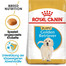 ROYAL CANIN Golden Retriever Puppy Welpenfutter trocken 12 kg