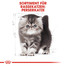 ROYAL CANIN Persian Kittenfutter trocken für Perser-Kätzchen 400 g