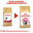 ROYAL CANIN Persian Kittenfutter trocken für Perser-Kätzchen 400 g