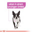 ROYAL CANIN RELAX CARE MINI Trockenfutter für kleine Hunde in unruhigem Umfeld 8 kg