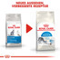ROYAL CANIN INDOOR 27 Trockenfutter für Wohnungskatzen 2 kg