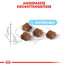 ROYAL CANIN MOTHER & BABYCAT Katzenfutter für tragende Katzen und Kitten 400 g