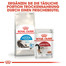 ROYAL CANIN INDOOR Longhair Trockenfutter für Wohnungskatzen mit langem Fell 10 kg